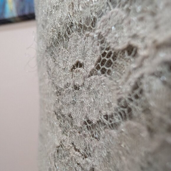 NEW Donna Ricco Knee-Length Sheath Dress, Cap Sleeve Taupe Lace & Sequin Overlay - Picture 10 of 15